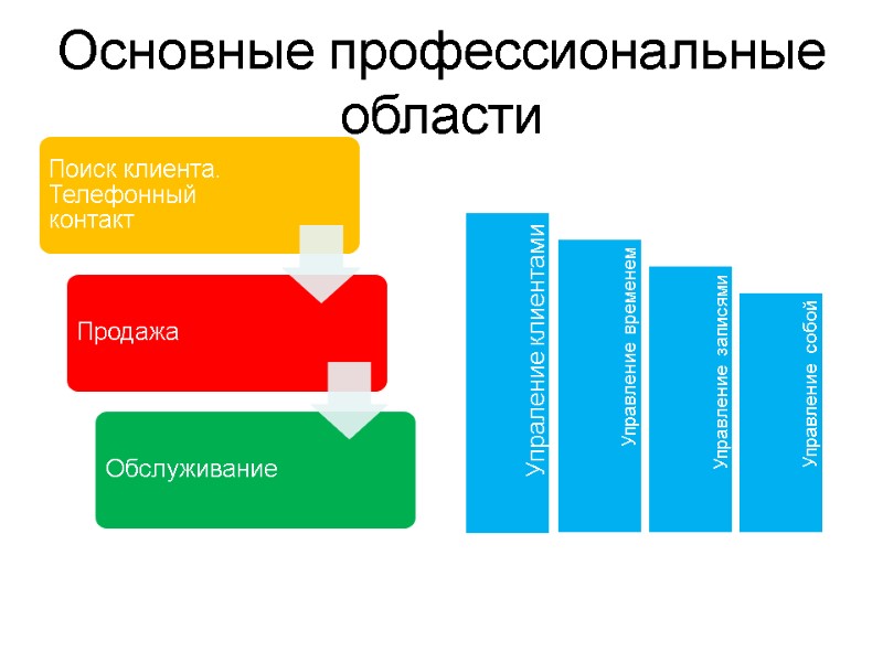 Основные профессиональные области